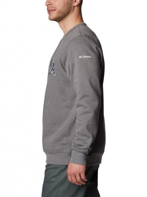 pulover pt. barbati Columbia M Columbia Logo Fleece Crew gri 3