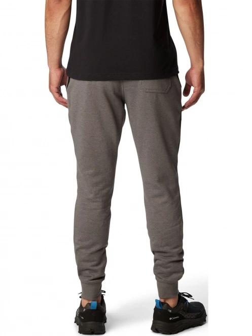 pantaloni de trening pt. barbati Columbia M Csc Logo Fleece Jogger II gri 4