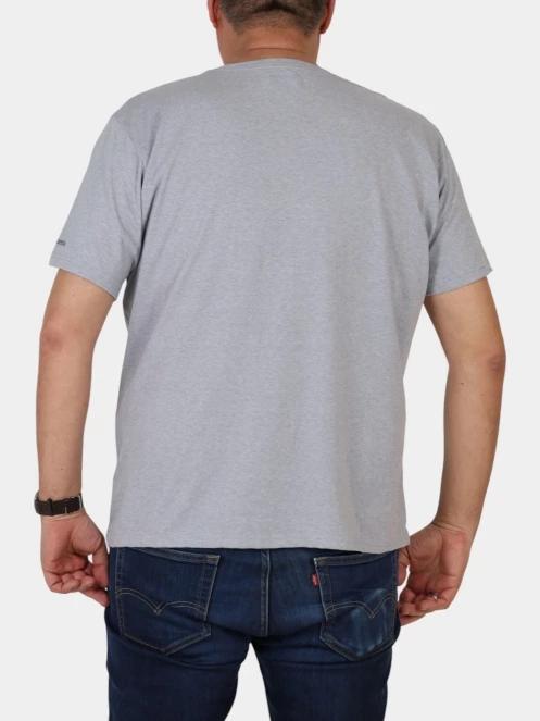 tricou cu maneci scurte pt. barbati Columbia Path Lake Graphic Tee II gri 3