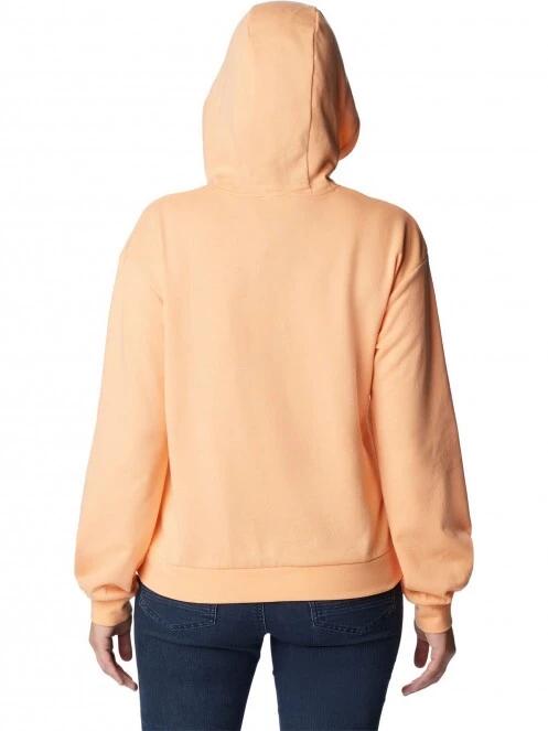 Columbia Logo III French Terry Hoodie