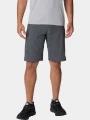 pantaloni scurti pentru drumetii pt. barbati Columbia Silver Ridge Cargo Short gri 1
