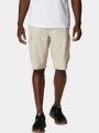 pantaloni scurti pentru drumetii pt. barbati Columbia Silver Ridge Cargo Short nisip 1