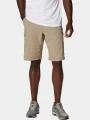 pantaloni scurti pentru drumetii pt. barbati Columbia Silver Ridge Cargo Short nisip 1