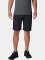 pantaloni scurti pentru drumetii pt. barbati Columbia Silver Ridge Cargo Short negru 1