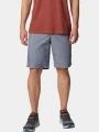 pantaloni scurti pt. barbati Columbia Washed Out Short gri 1