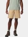 pantaloni scurti pt. barbati Columbia Washed Out Short maro 1