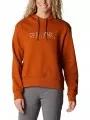 pulover cu gluga pt. femei Columbia Columbia Lodge Hoodie portocaliu 1
