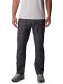 Landroamer Cargo Pant